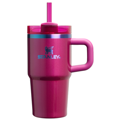 The Quencher H2.O FlowState™ Tumbler with Handle | 20 OZ - Stanley Create